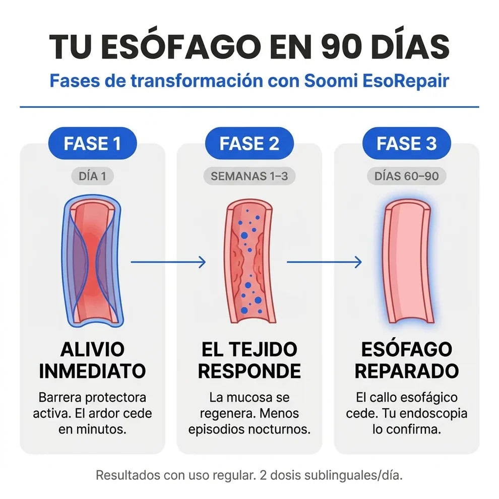 Ename EsoRepair™ | Reparador esofágico nano-sublingual